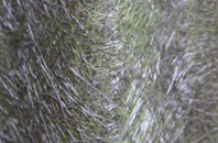 Bolton By Bowland fibreglass roof work